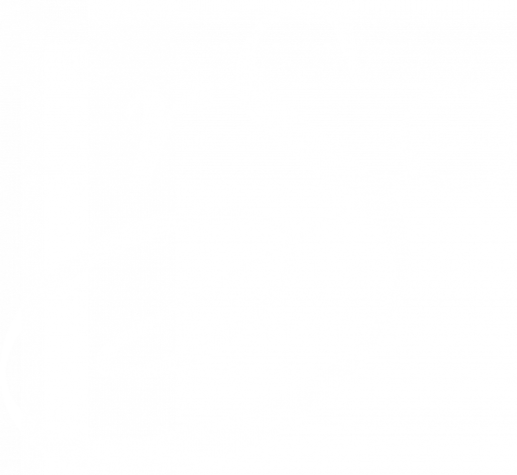 RSO logo